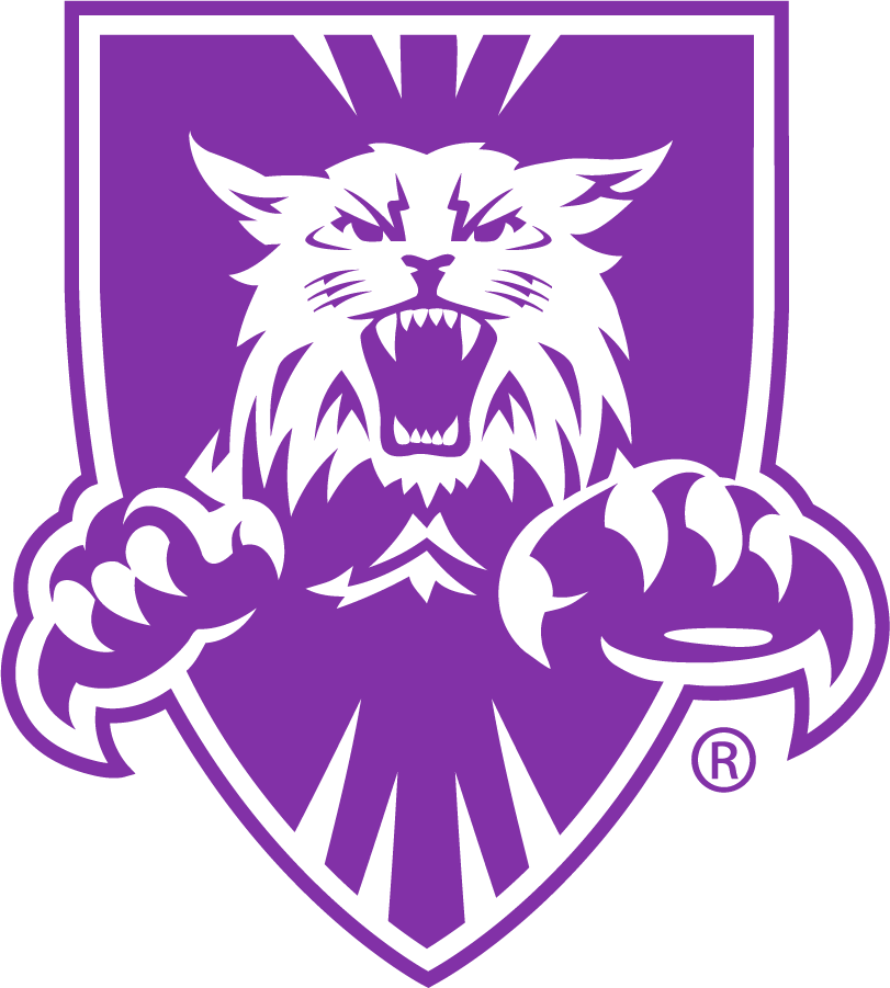 Weber State Wildcats 1996-2012 Alternate Logo v2 t shirts iron on transfers